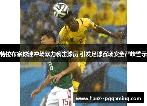 特拉布宗球迷冲场暴力袭击球员 引发足球赛场安全严峻警示