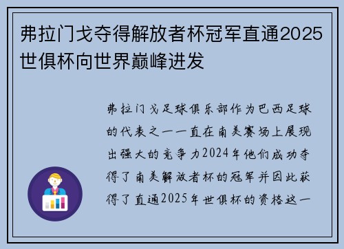弗拉门戈夺得解放者杯冠军直通2025世俱杯向世界巅峰进发